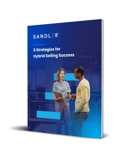 6 Strategies for Hybrid Selling Success - 3D Cover Image UPDATED